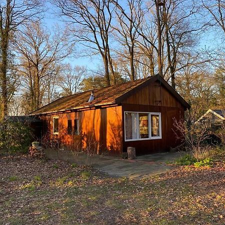 Basic Natuurhuisje Ommen/Beerze Villa Luaran gambar