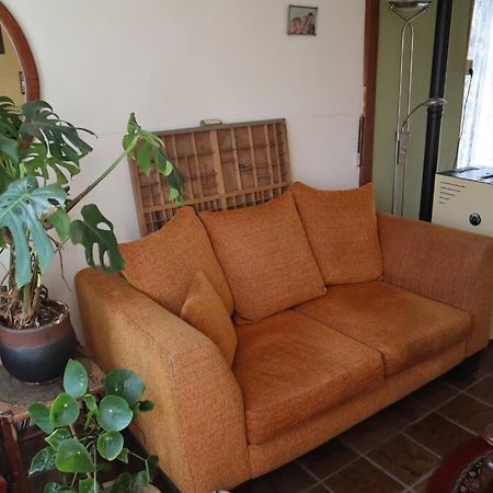 Basic Natuurhuisje Ommen/Beerze Villa Luaran gambar