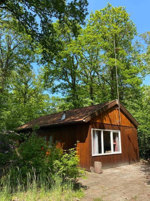 Basic Natuurhuisje Ommen/Beerze Villa Luaran gambar