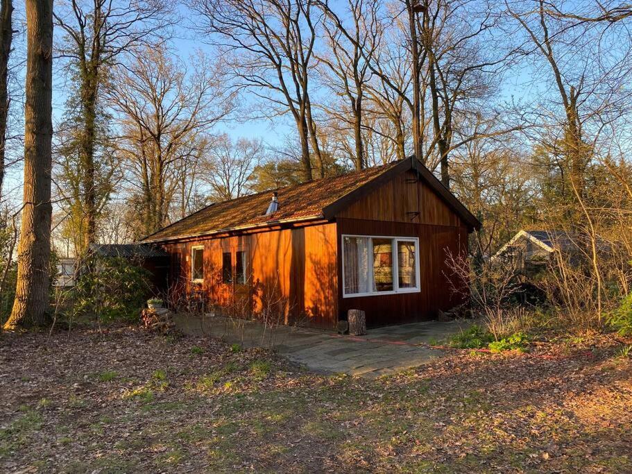 Basic Natuurhuisje Ommen/Beerze Villa Luaran gambar