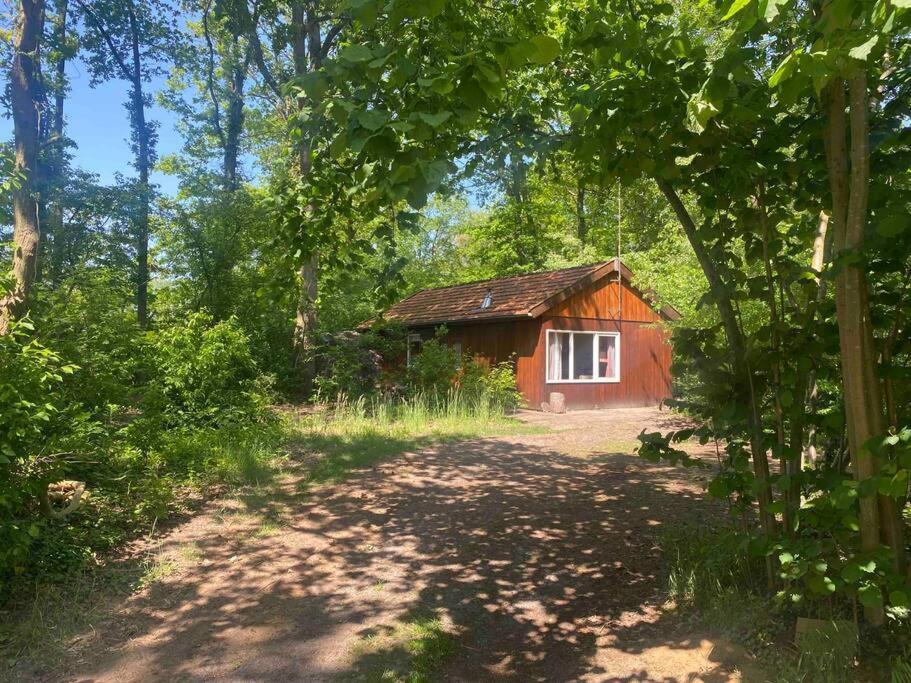 Basic Natuurhuisje Ommen/Beerze Villa Luaran gambar