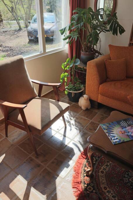 Basic Natuurhuisje Ommen/Beerze Villa Luaran gambar